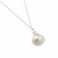 Sterling silver clam shell necklace